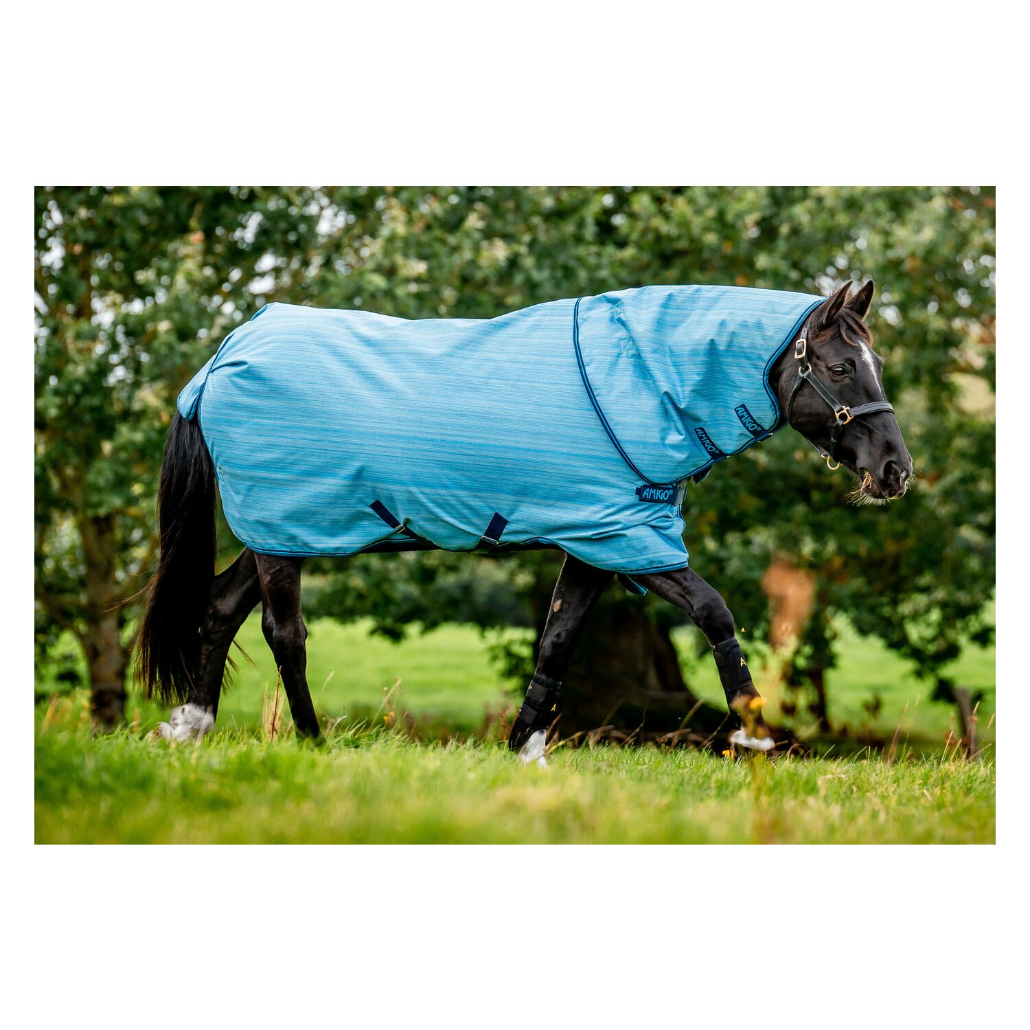 HORSEWARE Outdoordecke AMIGO Hero 900 Revieve plus 50 g &ndash; Ansicht 5