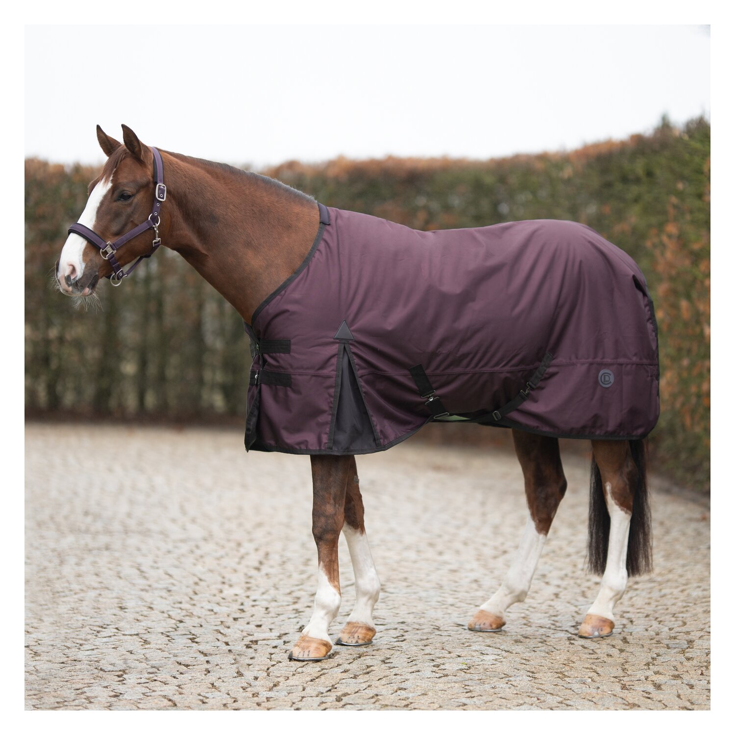 Cheval de Luxe Outdoordecke 50g &ndash; Ansicht 2