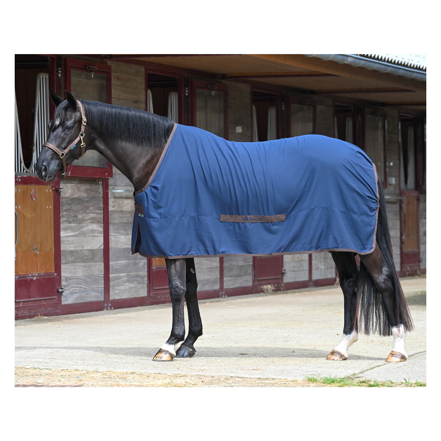 bucas Abschwitzdecke Cool Sheet Linen – Ansicht 2