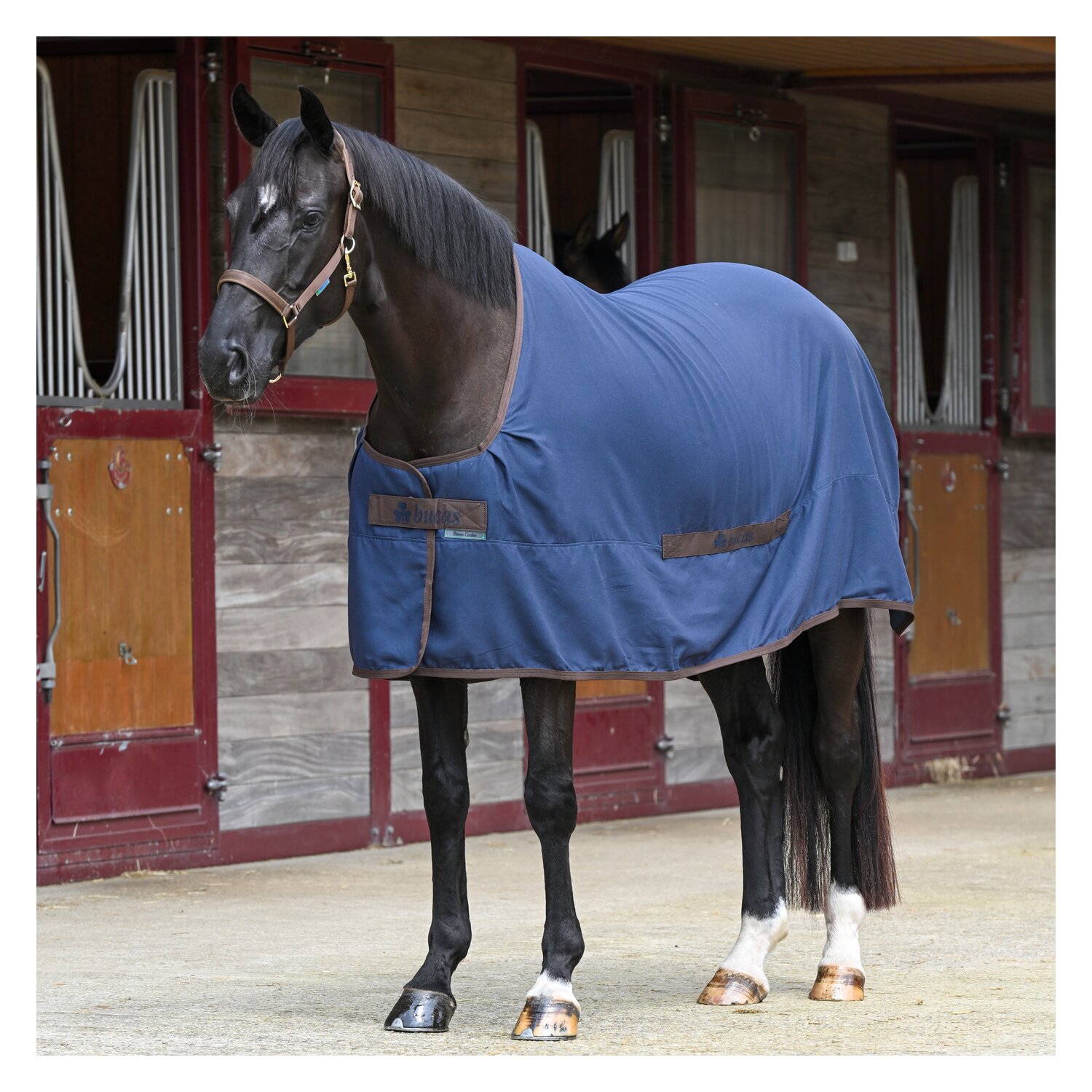 bucas Abschwitzdecke Cool Sheet Linen – Ansicht 1