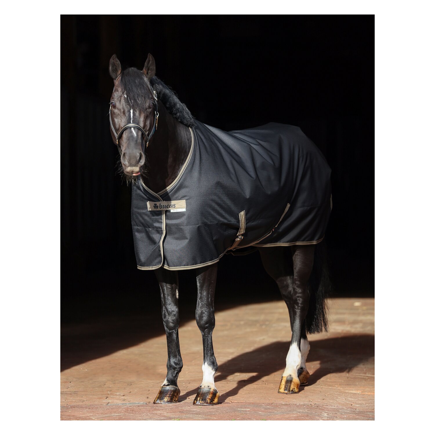 Bucas Stalldecke Freedom – Ansicht 4