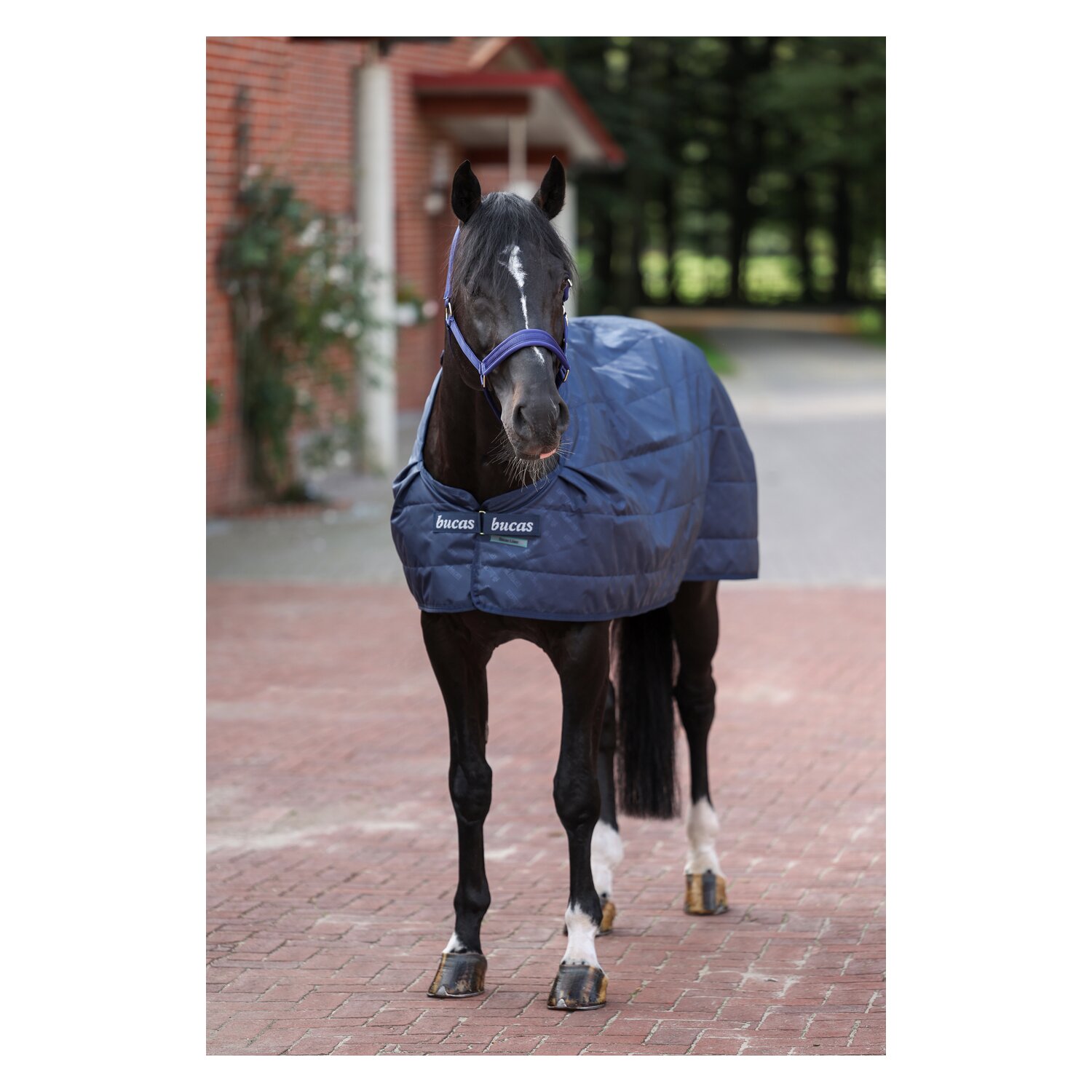 bucas Unterdecke Liner – Ansicht 2