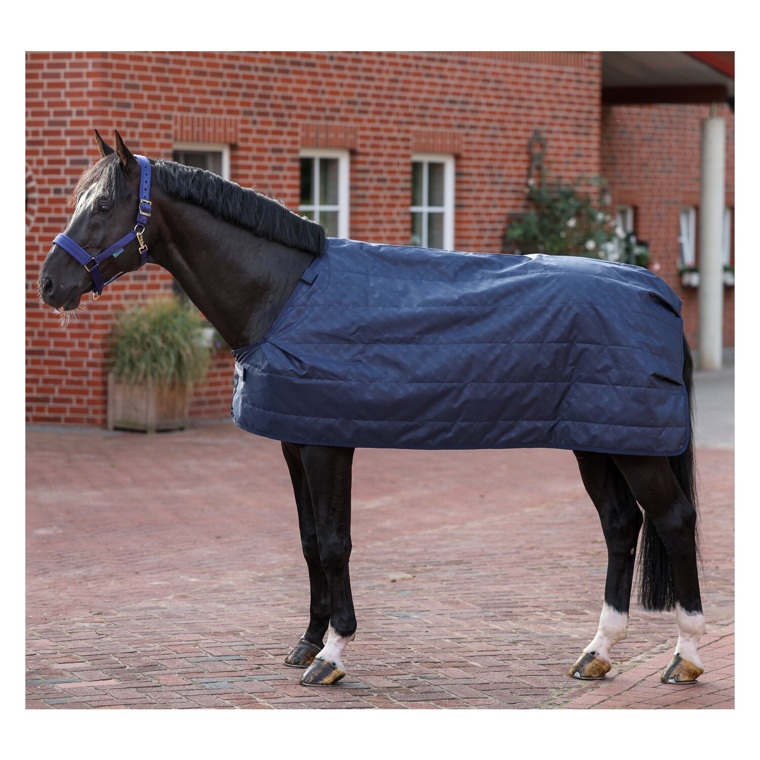 bucas Unterdecke Liner – Ansicht 1