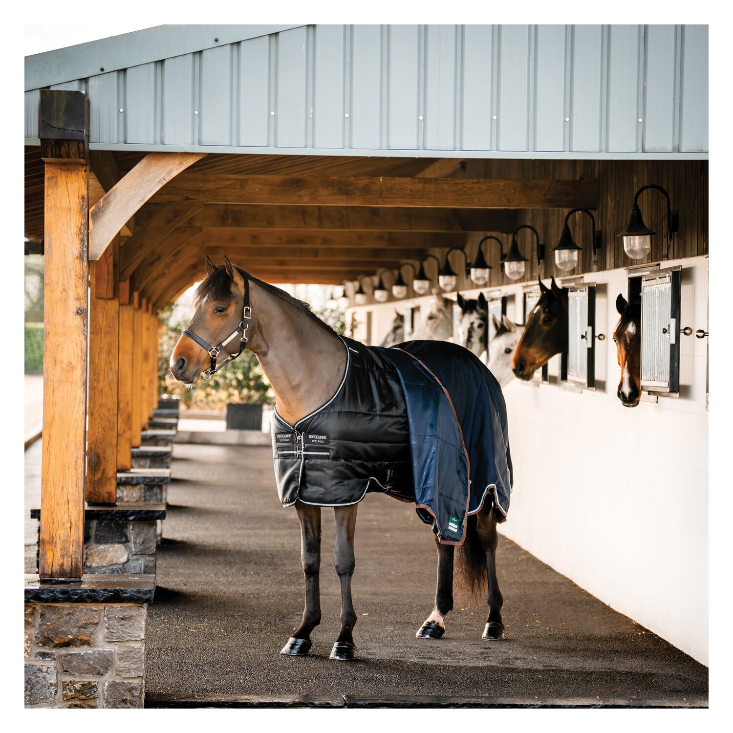 HORSEWARE Stalldecke Easy-Layer Stable 100g – Ansicht 6