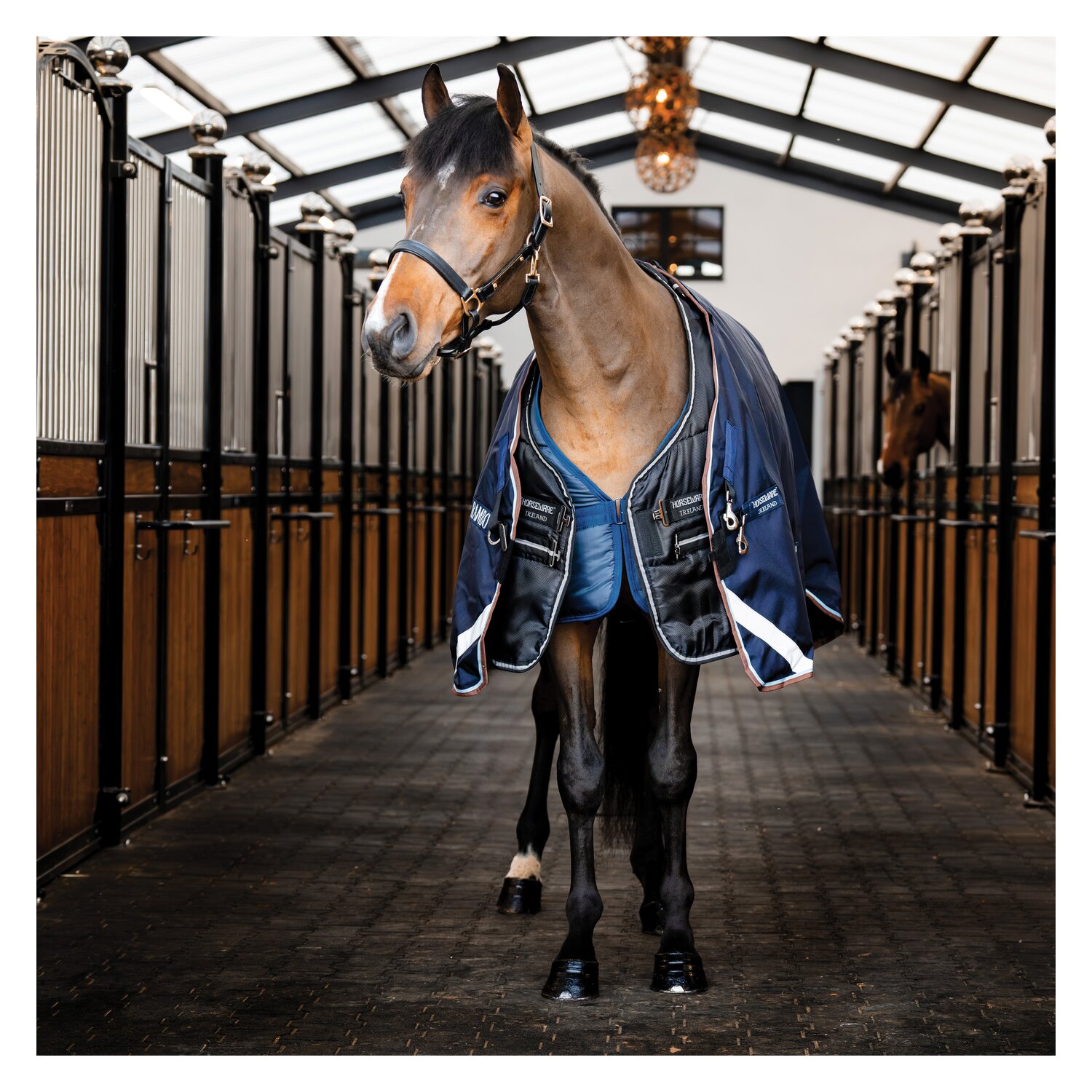 HORSEWARE Stalldecke Easy-Layer Stable 100g – Ansicht 4