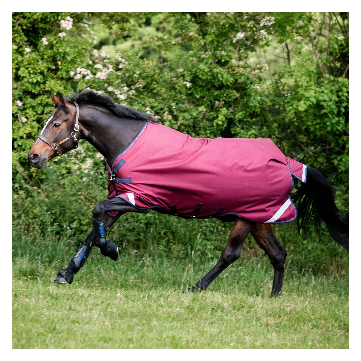HORSEWARE Outdoordecke RAMBO Original Lite – Ansicht 2