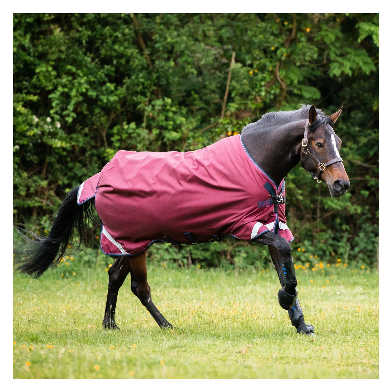 HORSEWARE Outdoordecke RAMBO Original Lite – Ansicht 1