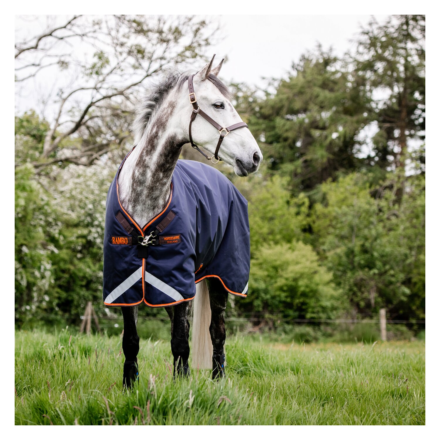 HORSEWARE Outdoordecke RAMBO Original Lite 100 g – Ansicht 2