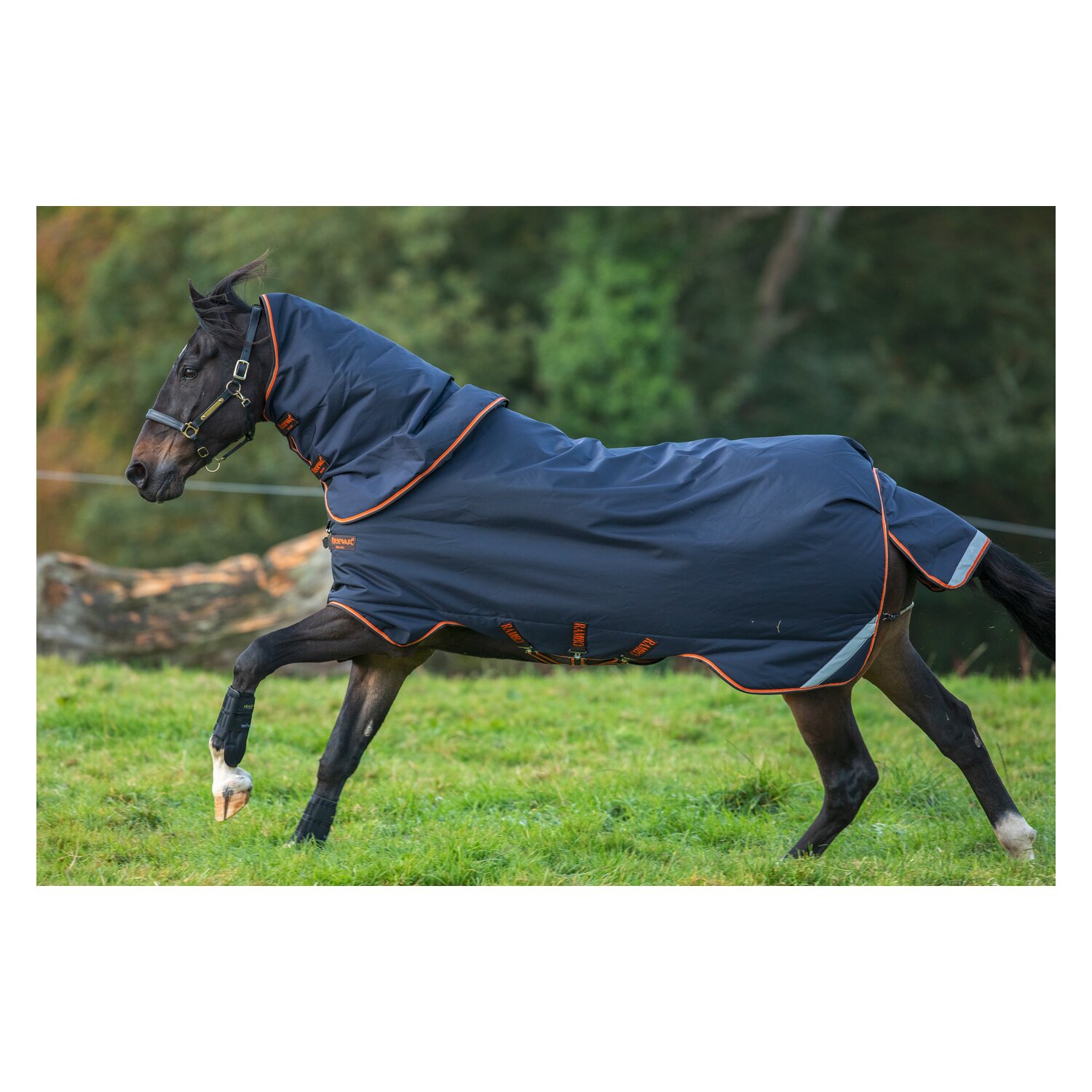 HORSEWARE Outdoordecke RAMBO Original Lite 100 g – Ansicht 3