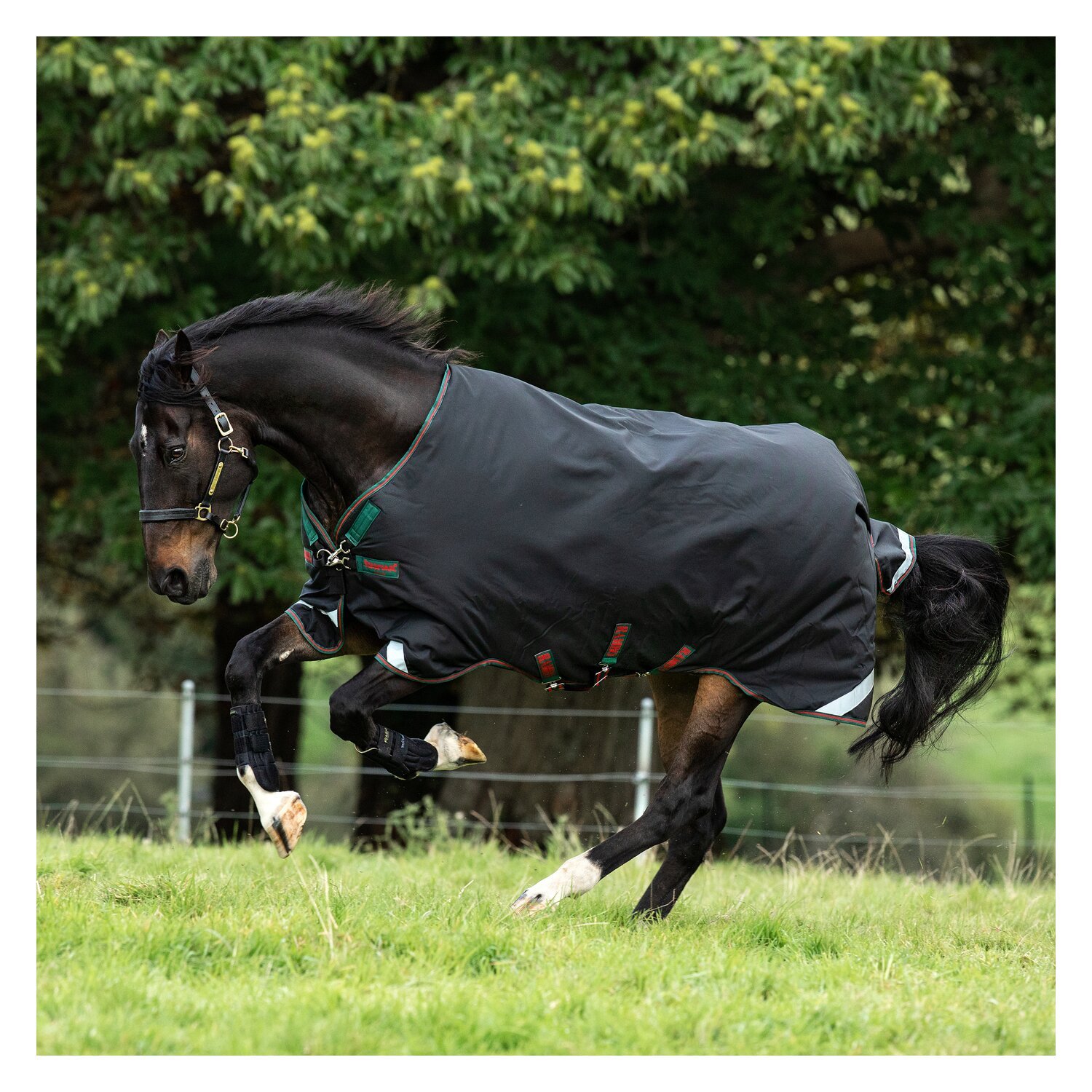 HORSEWARE Weidedecke RAMBO Original Medium – Ansicht 2