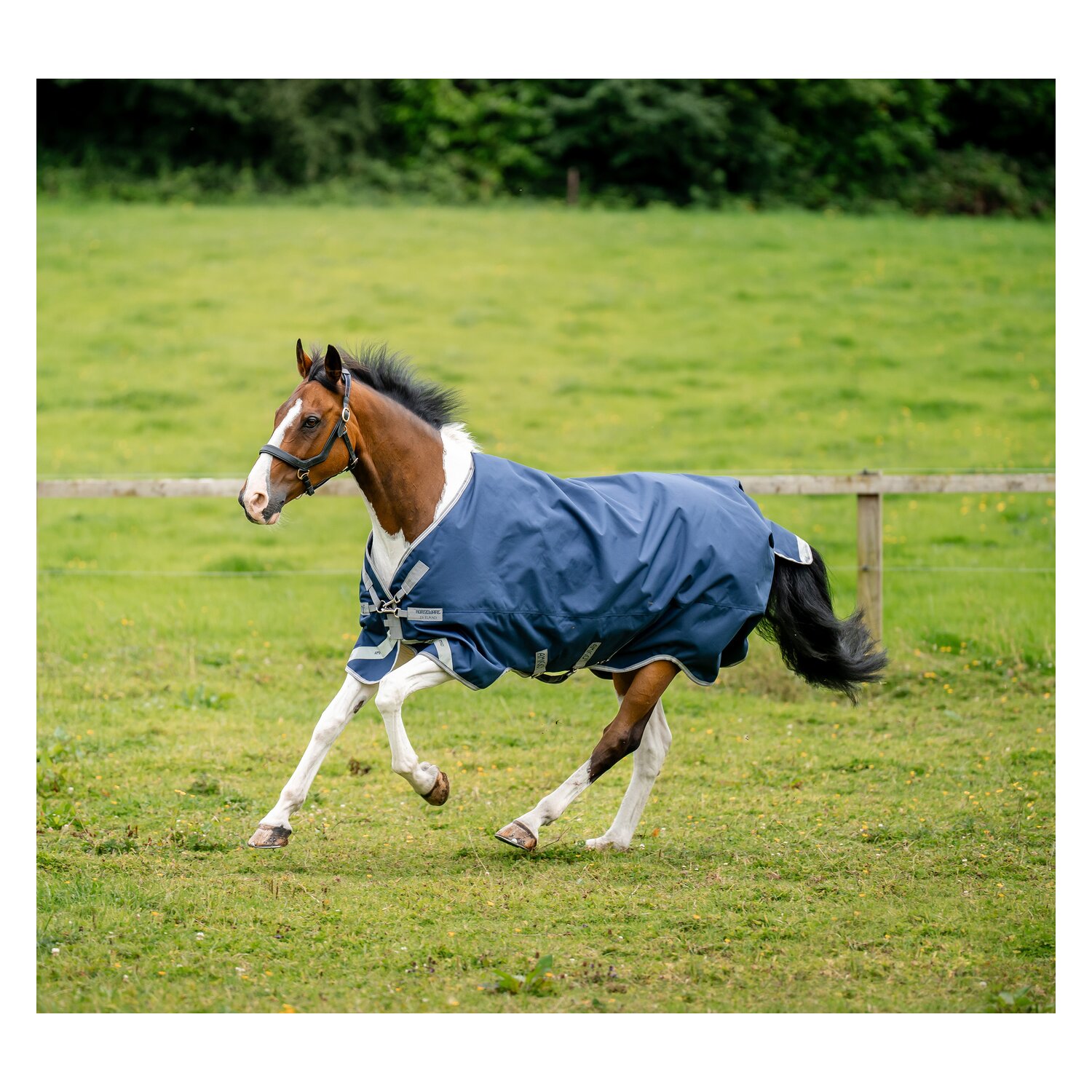 HORSEWARE Outdoordecke AMIGO 1200D XL 0g – Ansicht 2