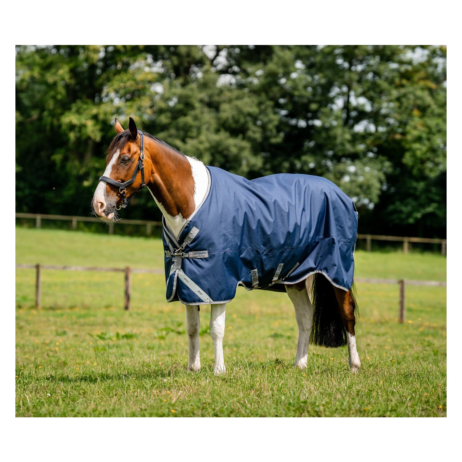 HORSEWARE Outdoordecke AMIGO 1200D XL 0g – Ansicht 1