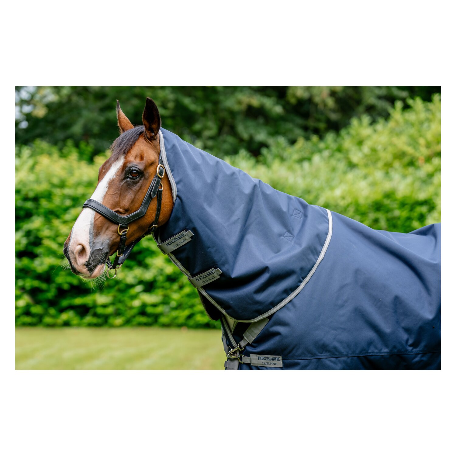 HORSEWARE Halsteil AMIGO XL – Ansicht 1