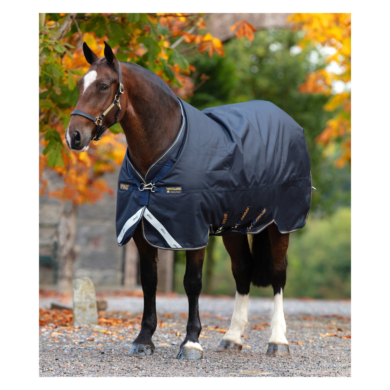 HORSEWARE Outdoordecke AMIGO Bravo 12 XL Original Medium – Ansicht 1