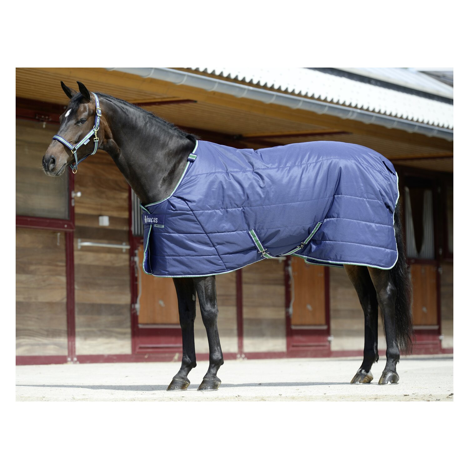 bucas Stalldecke Quilt 150g Stay-Dry – Ansicht 1