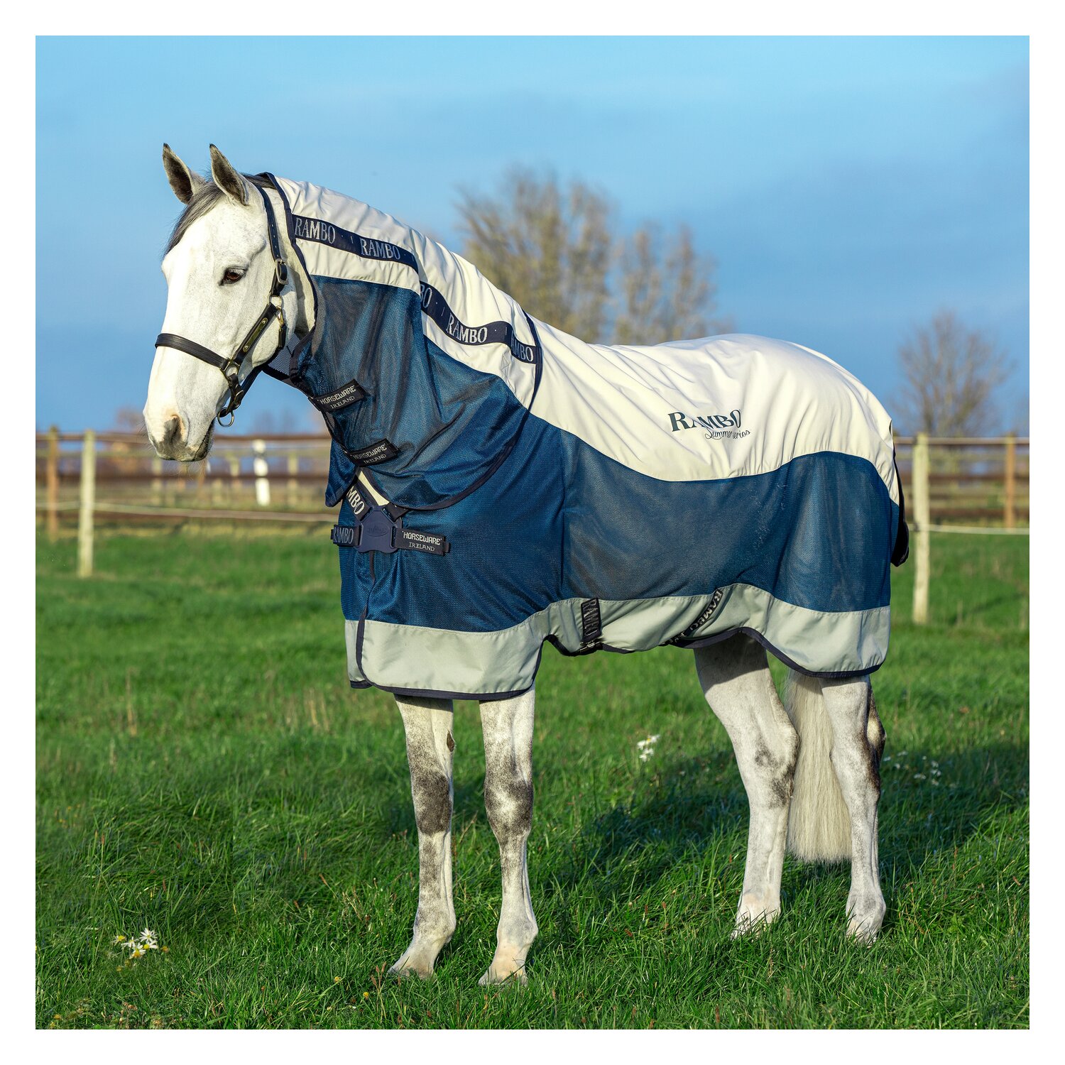 HORSEWARE Übergangsdecke RAMBO Summer Series Turnout – Ansicht 1