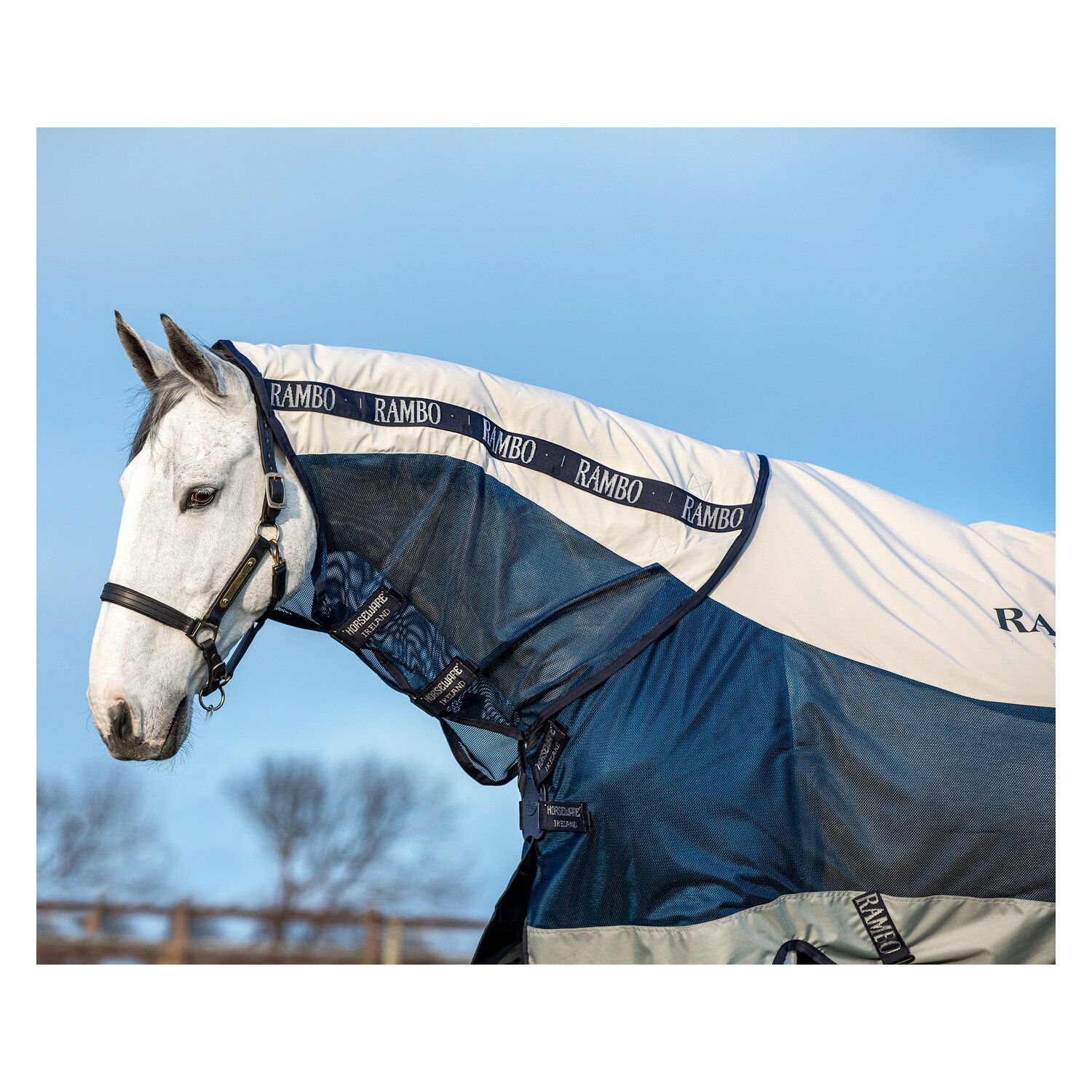 HORSEWARE Übergangsdecke RAMBO Summer Series Turnout – Ansicht 2