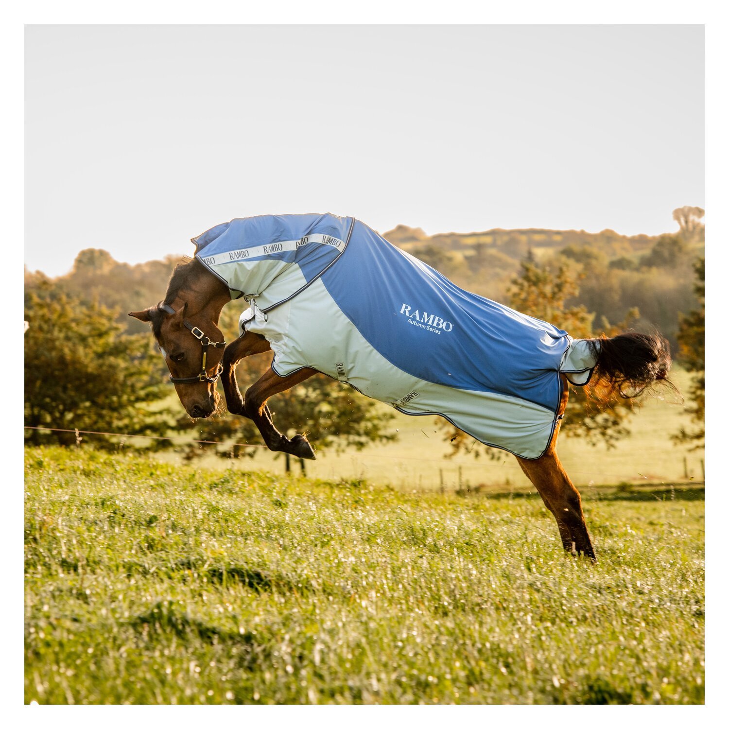 HORSEWARE Outdoor-/Weidedecke RAMBO Autumn Series – Ansicht 2