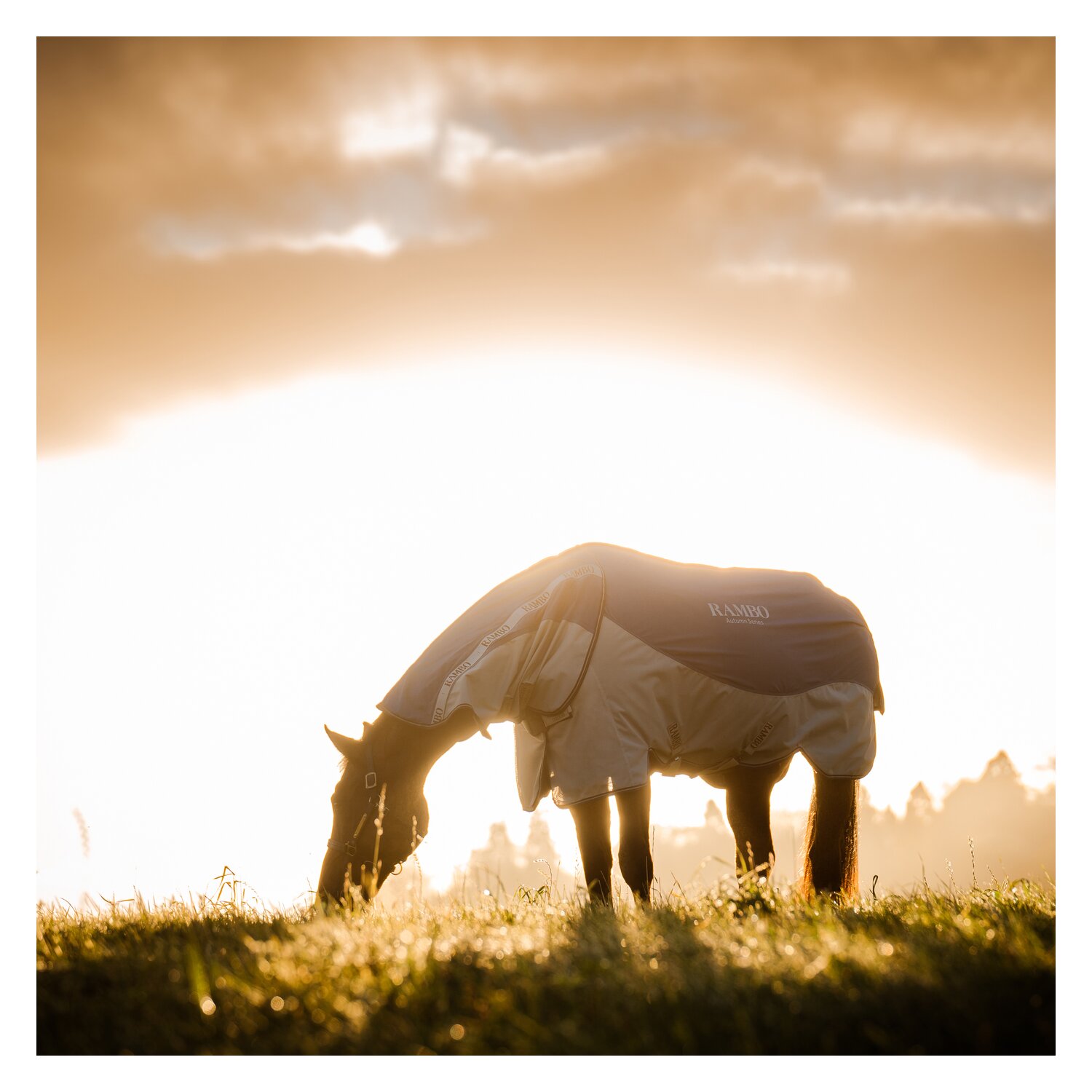 HORSEWARE Outdoor-/Weidedecke RAMBO Autumn Series – Ansicht 4