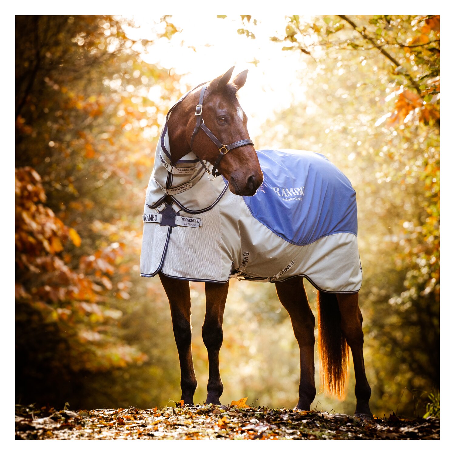 HORSEWARE Outdoor-/Weidedecke RAMBO Autumn Series – Ansicht 1