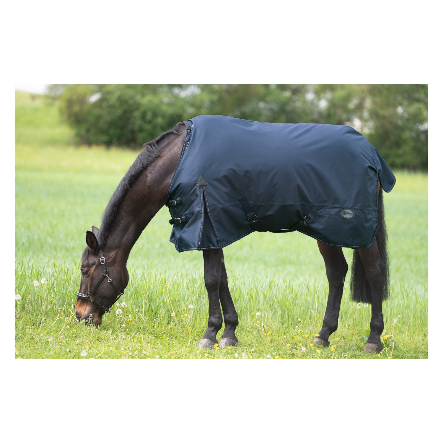 IRISh INNOVATION Outdoordecke Charlotte 50 g – Ansicht 3