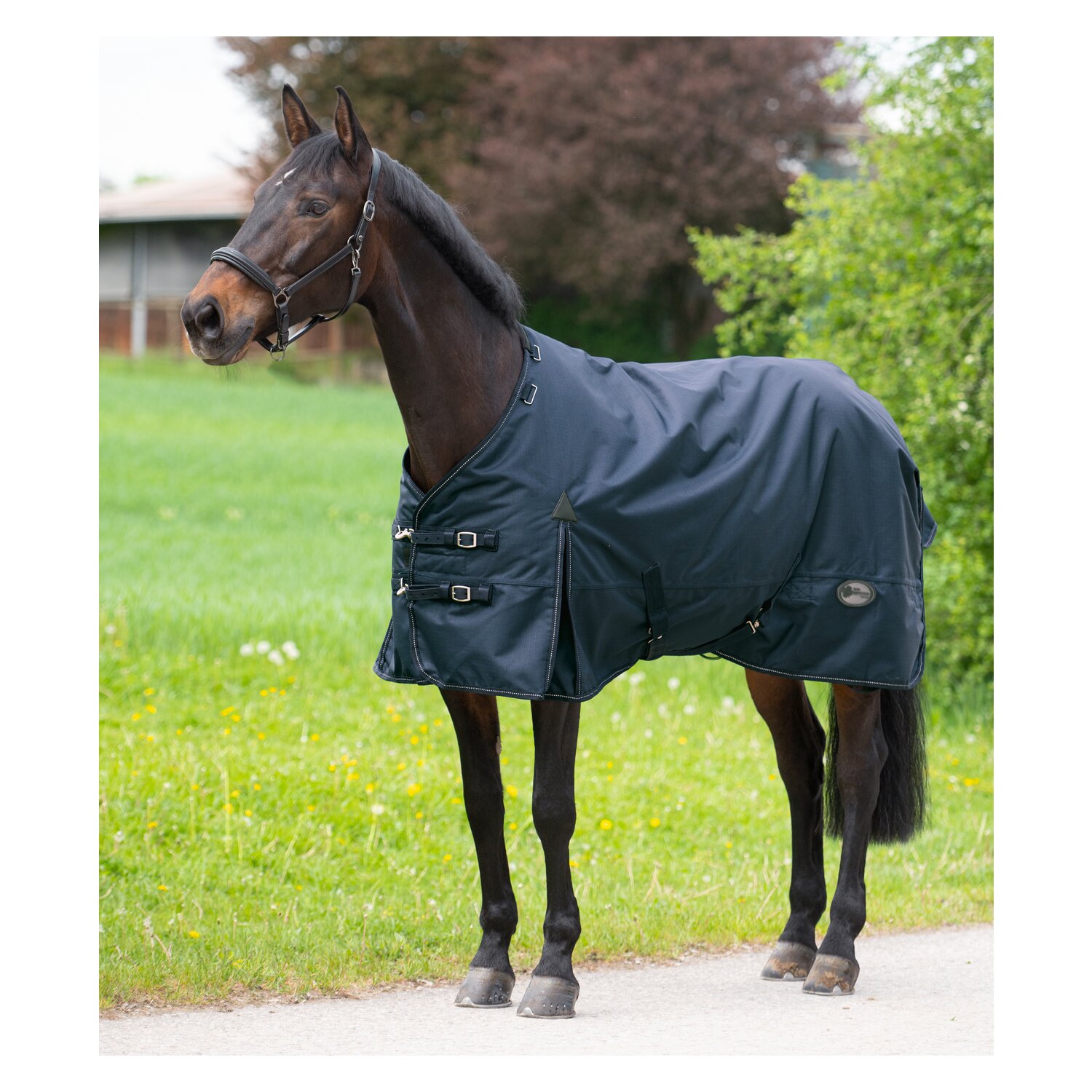 IRISh INNOVATION Outdoordecke Charlotte 50 g – Ansicht 2