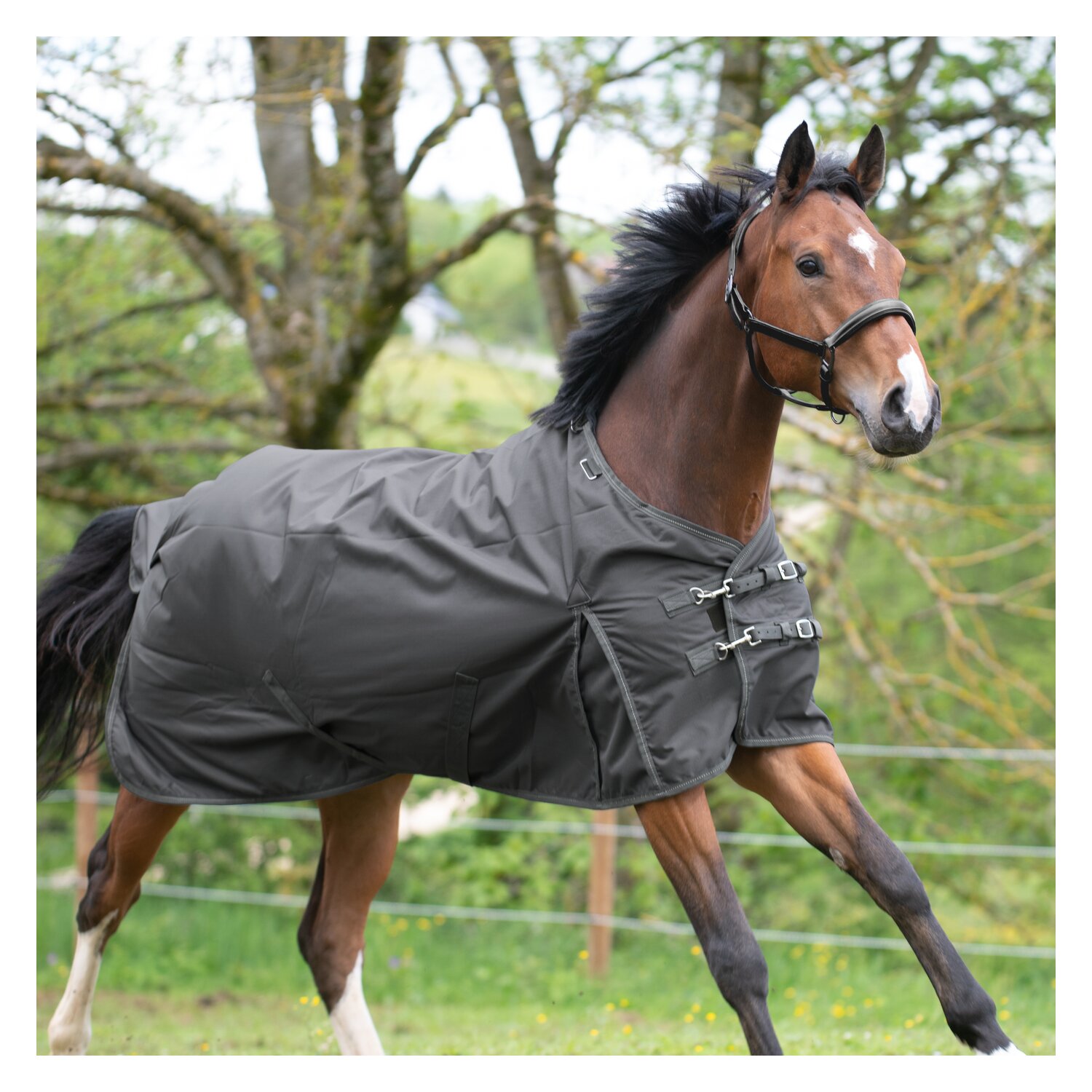 IRISh INNOVATION Outdoordecke Charlotte 100g – Ansicht 1