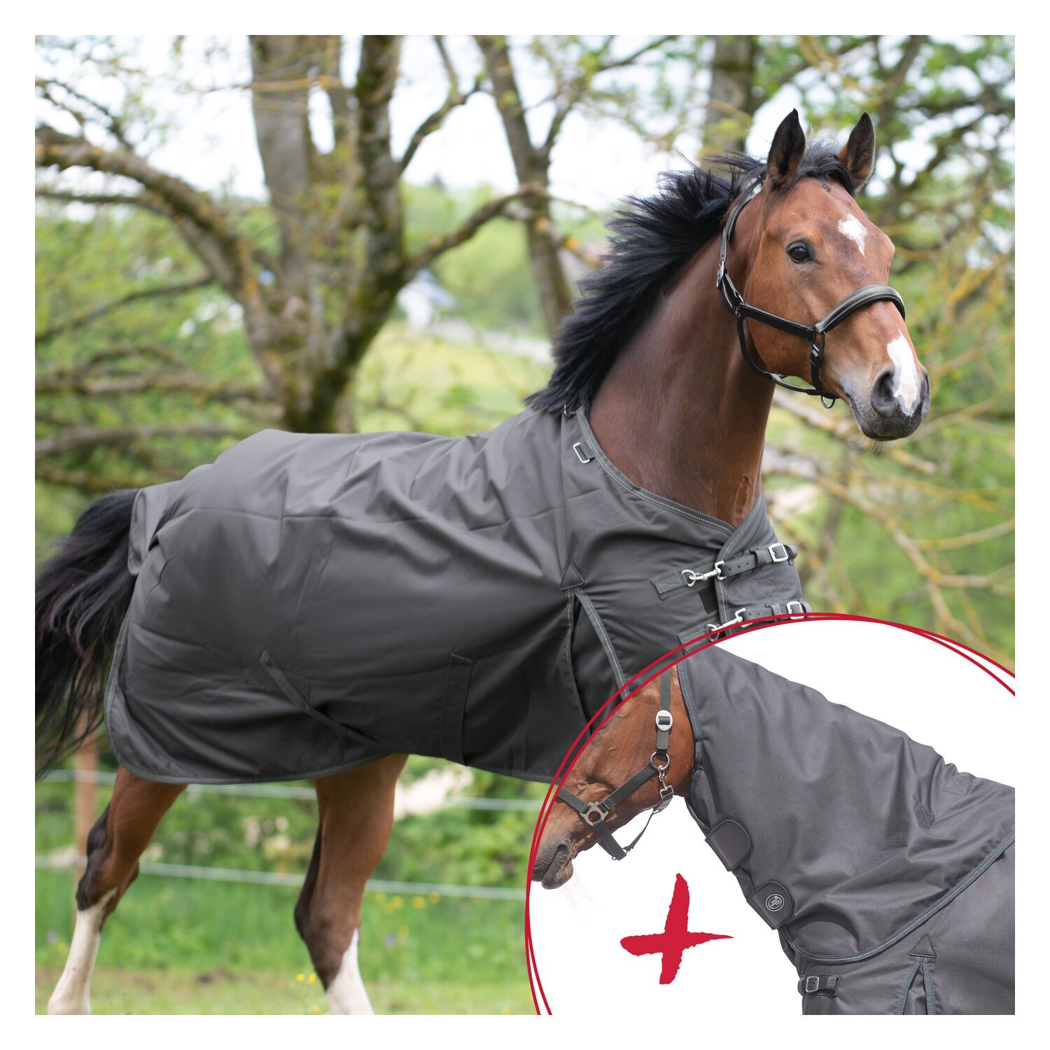 IRISh INNOVATION Outdoordecke + Halsteil Charlotte 100 g, 1200 D - Set – Ansicht 1