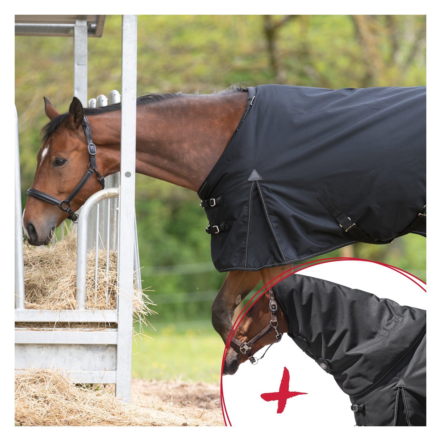 IRISh INNOVATION Outdoordecke & Halsteil Charlotte 200 g, 1200 D - Set – Ansicht 1