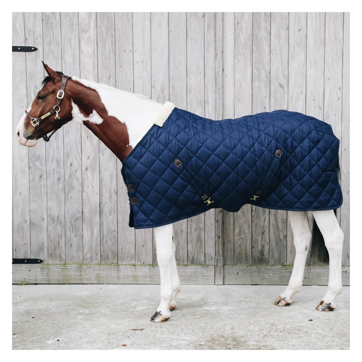 KENTUCKY Stalldecke – Ansicht 2