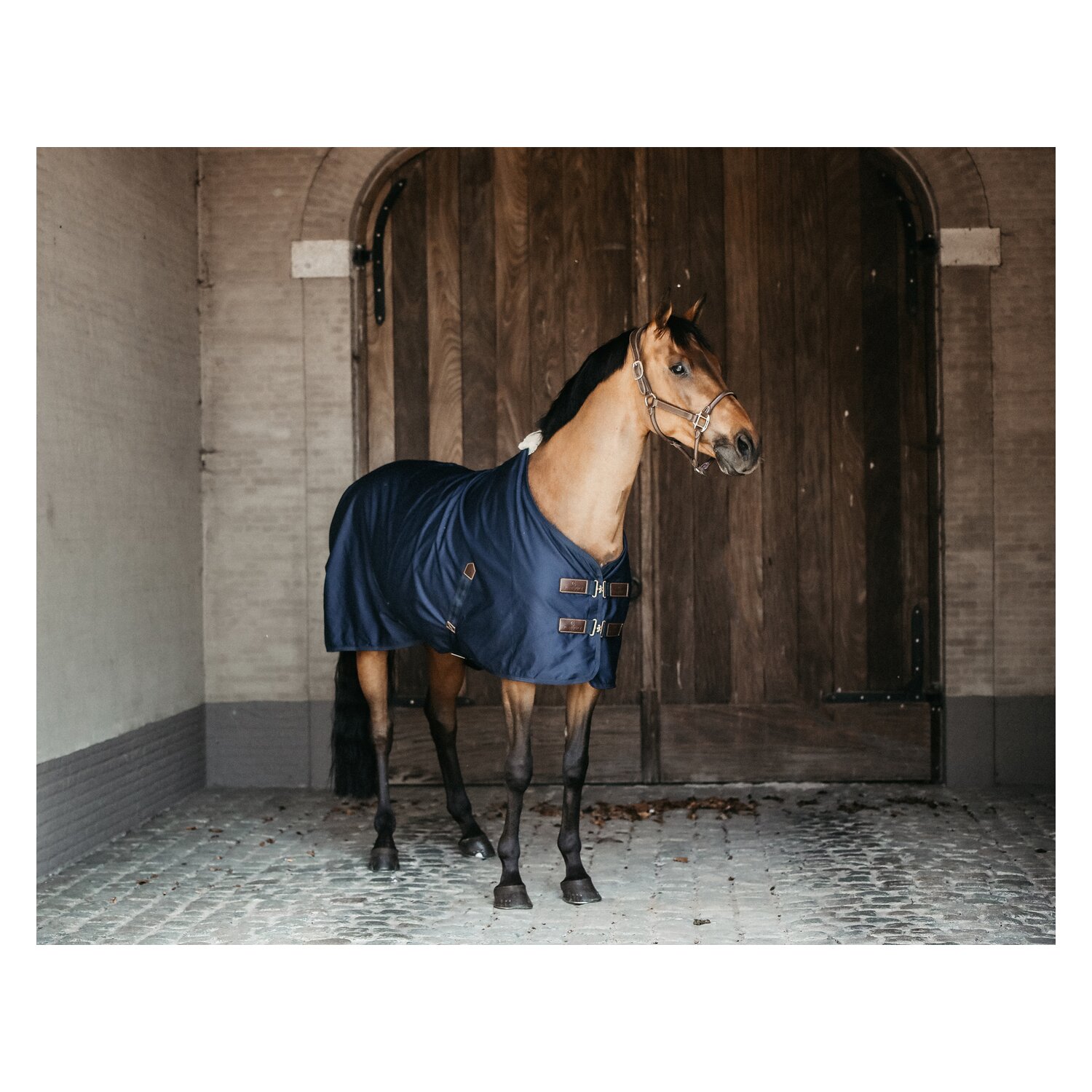 KENTUCKY Baumwolldecke Cotton Sheet – Ansicht 2
