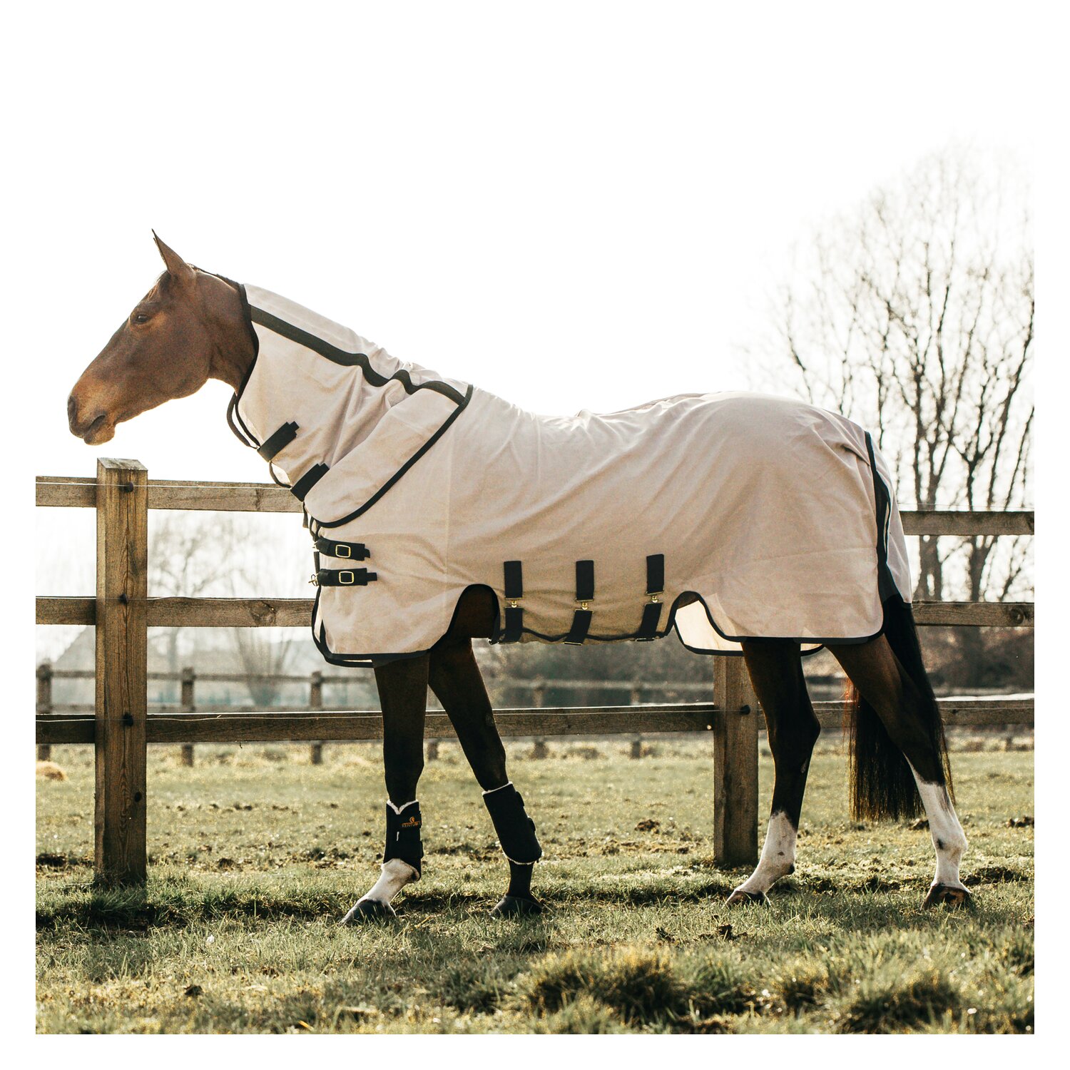 KENTUCKY Fliegendecke – Ansicht 2