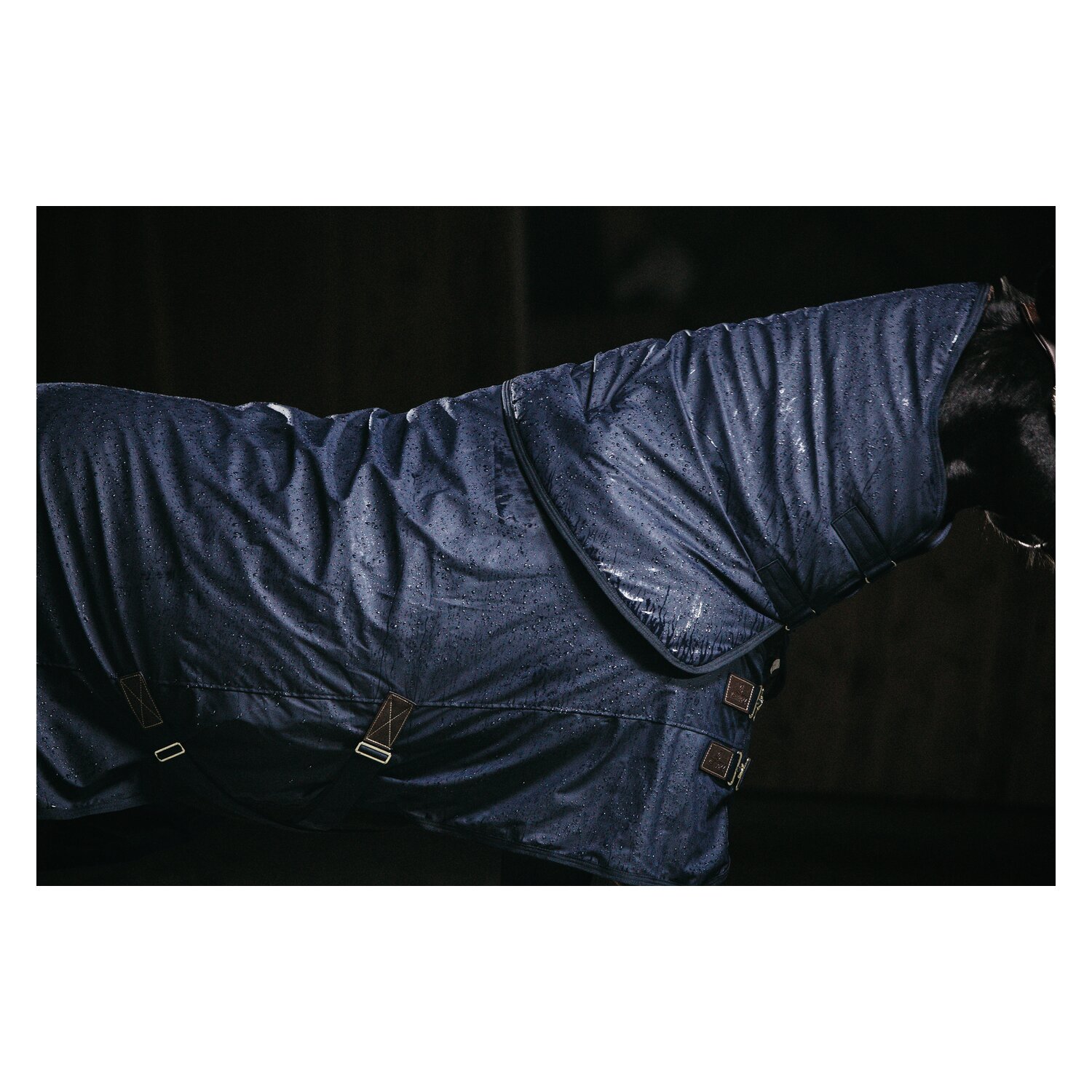 KENTUCKY Weidedecke All Weather Classic – Ansicht 5