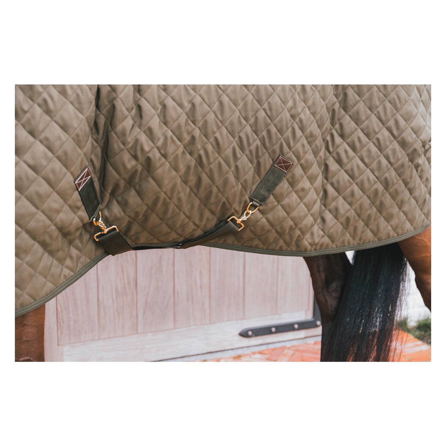 KENTUCKY Show Rug – Ansicht 8