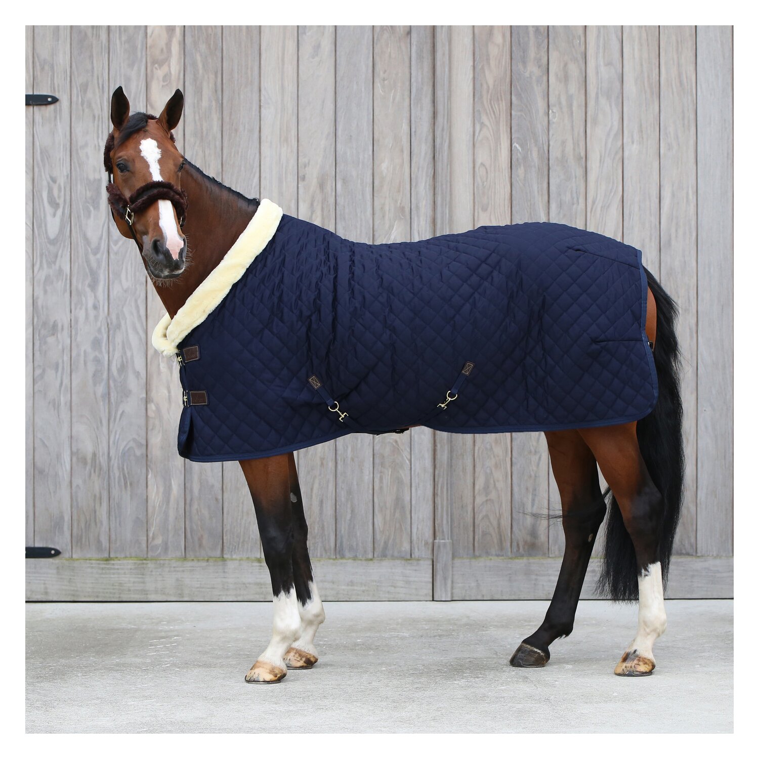 KENTUCKY Show Rug – Ansicht 4