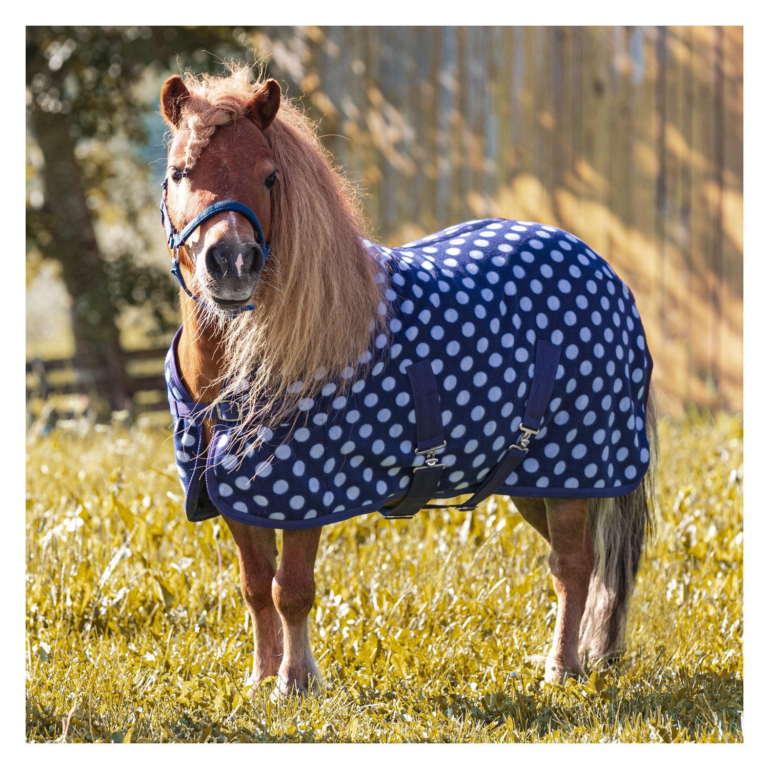 Horse-friends Abschwitzdecke – Ansicht 1