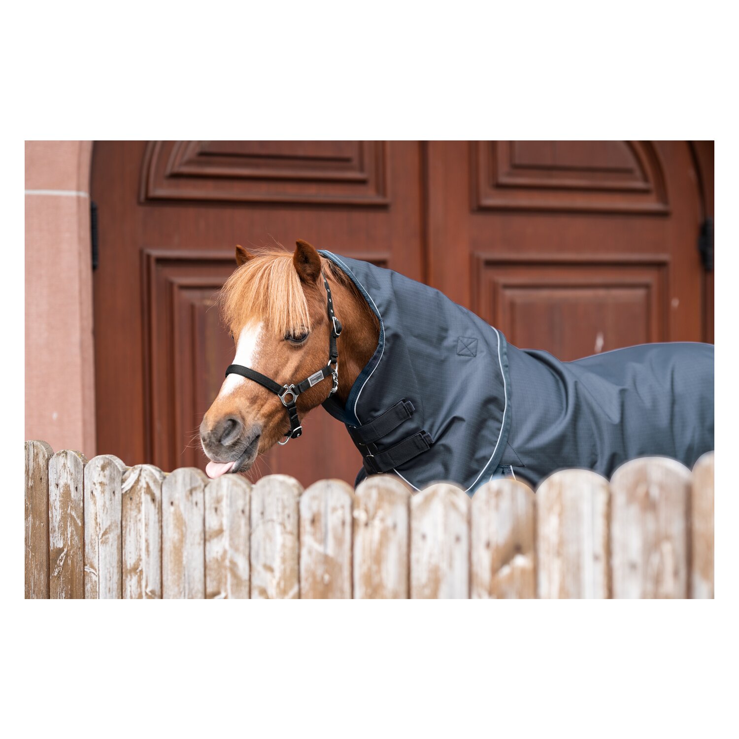 Horse-friends Outdoordecke – Ansicht 2