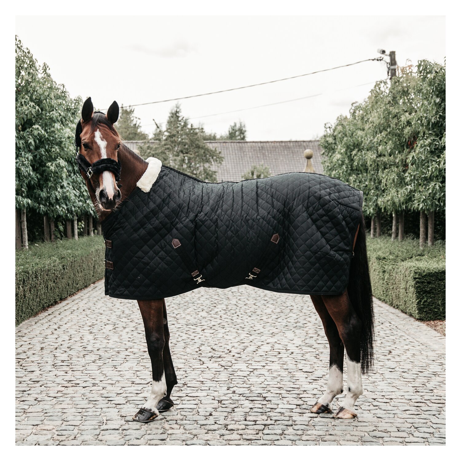KENTUCKY Stalldecke 400 g &ndash; Ansicht 2