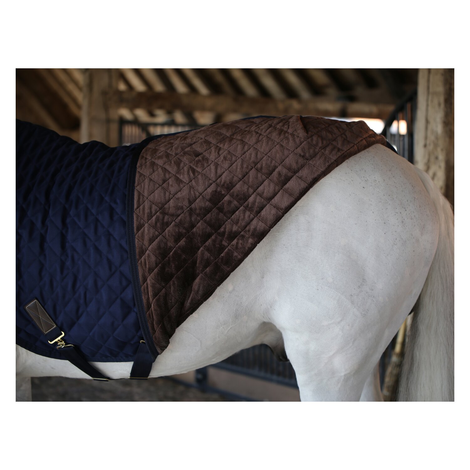 KENTUCKY Führanlagendecke Walker Rug 160 g – Ansicht 4