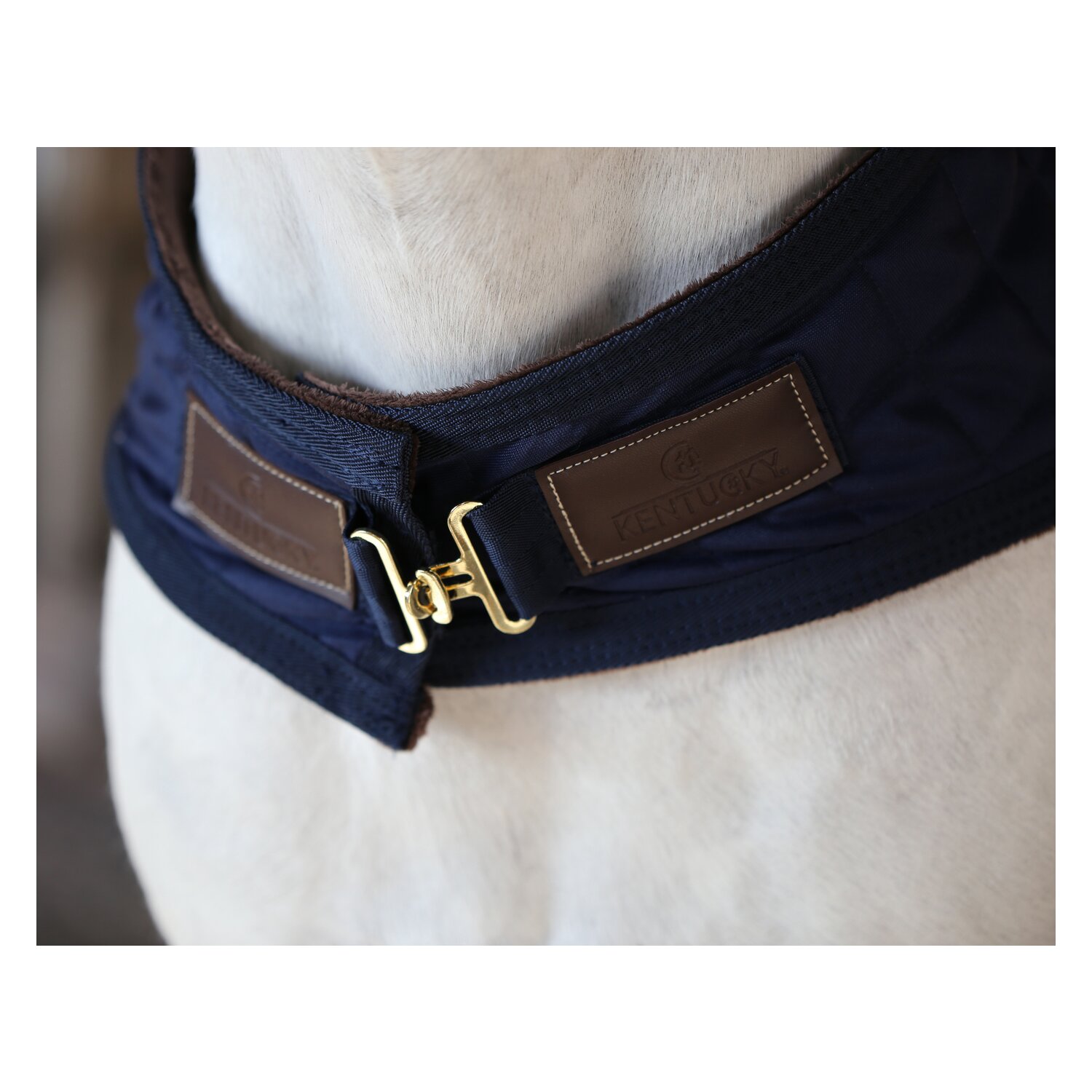 KENTUCKY Führanlagendecke Walker Rug 160 g – Ansicht 3