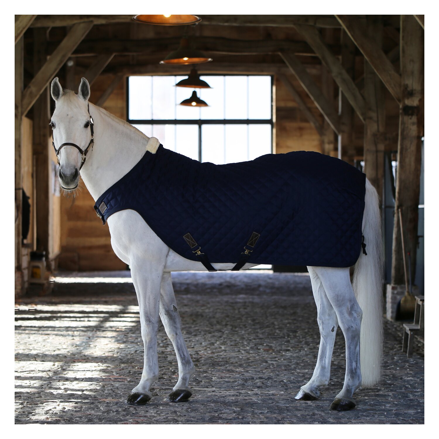 KENTUCKY Führanlagendecke Walker Rug 160 g – Ansicht 2