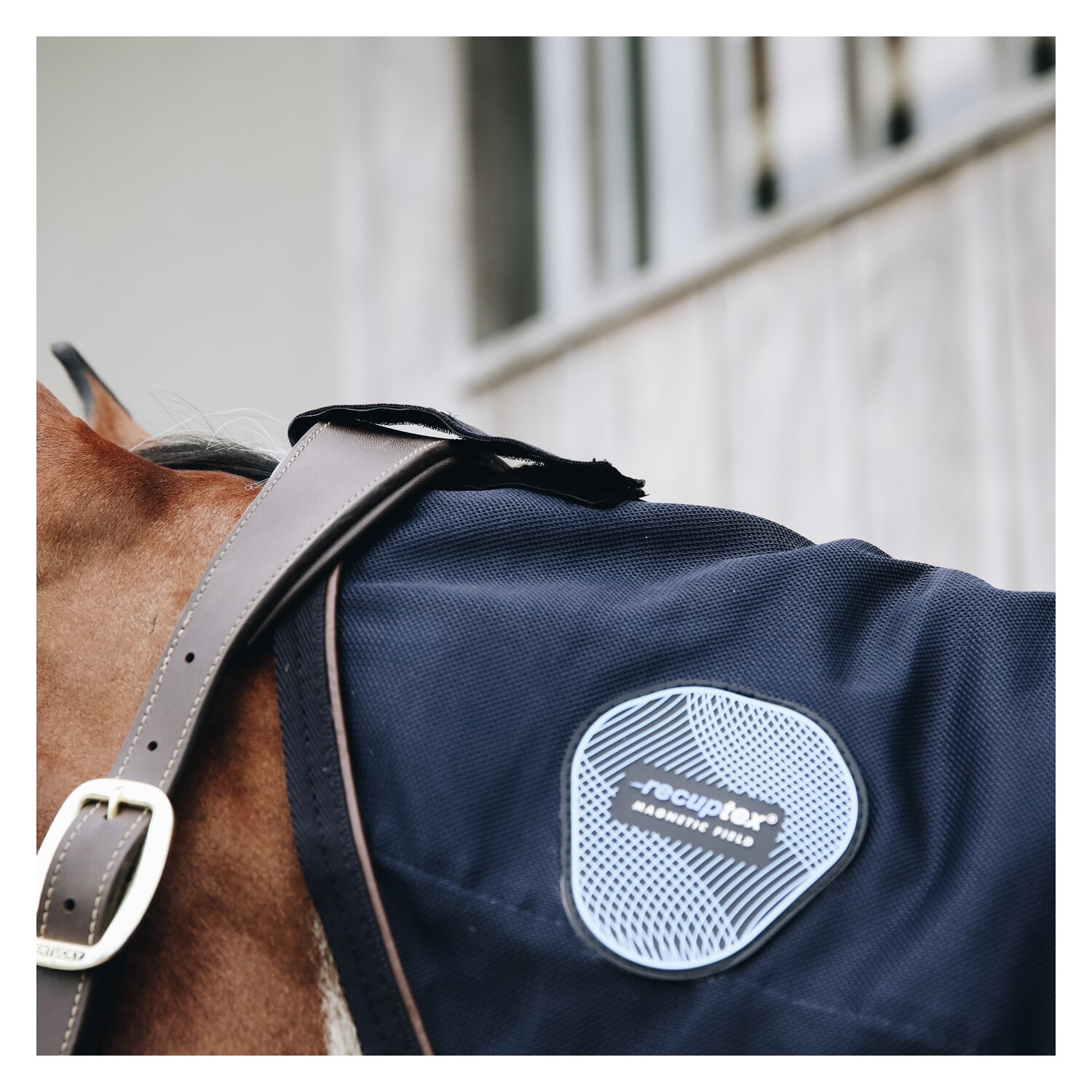 KENTUCKY Halsteil Recuptex – Ansicht 3