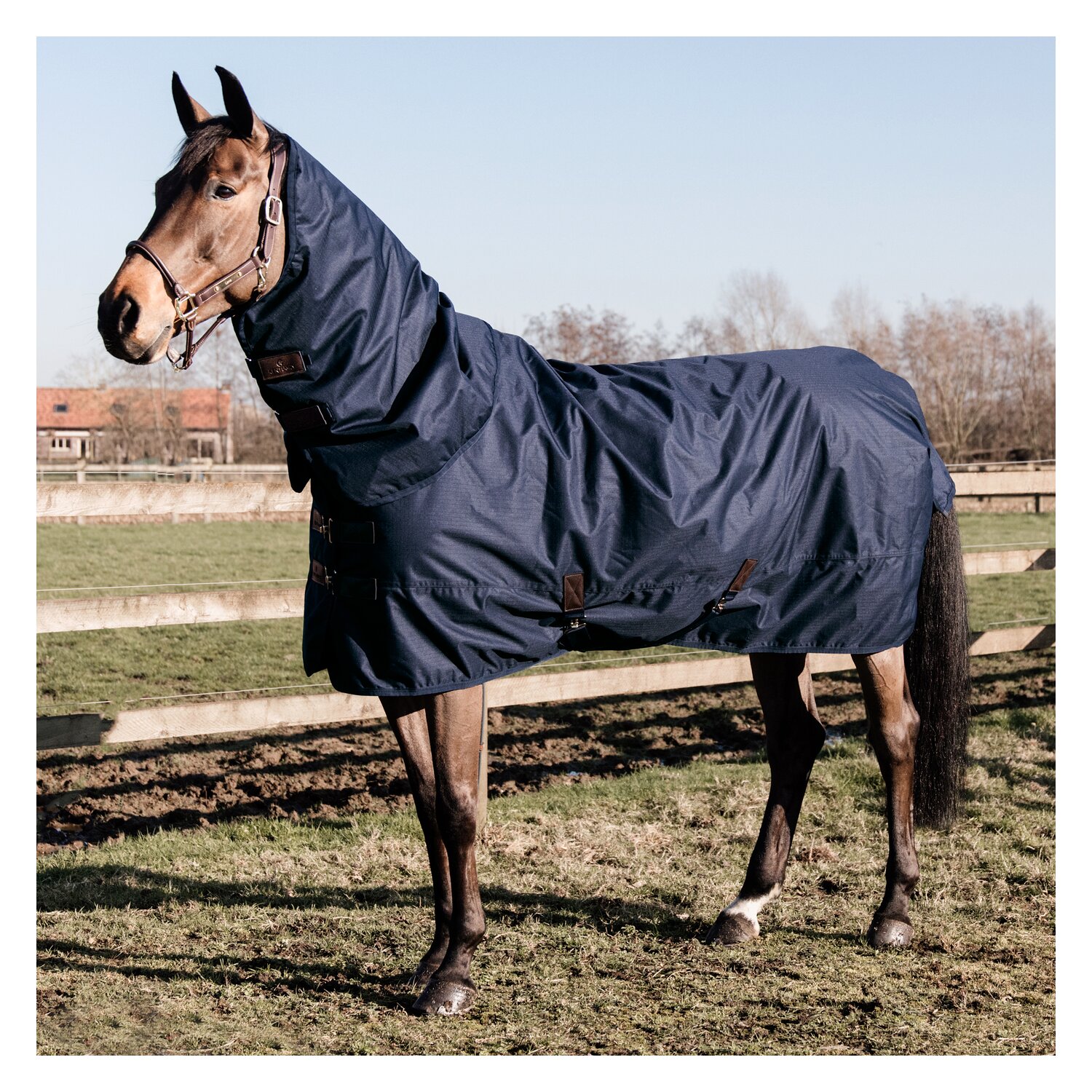 KENTUCKY Winterdecke All Weather Waterproof Classic 150 g – Ansicht 5