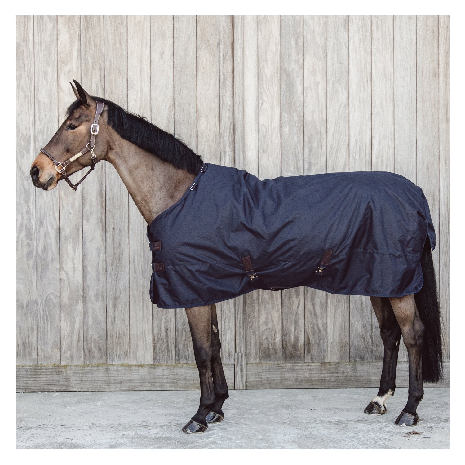 KENTUCKY Winterdecke All Weather Waterproof Classic 150 g – Ansicht 2