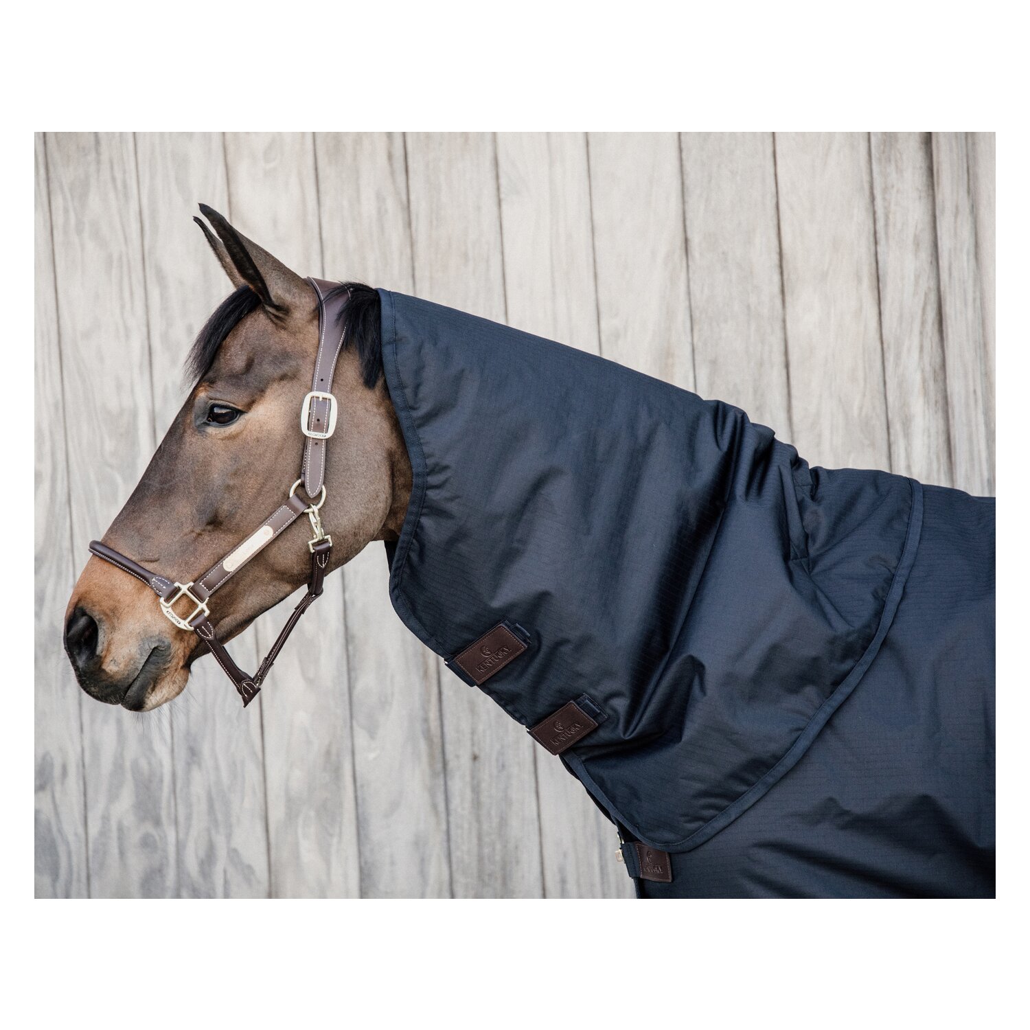 KENTUCKY Halsteil All Weather Classic 150 g – Ansicht 2