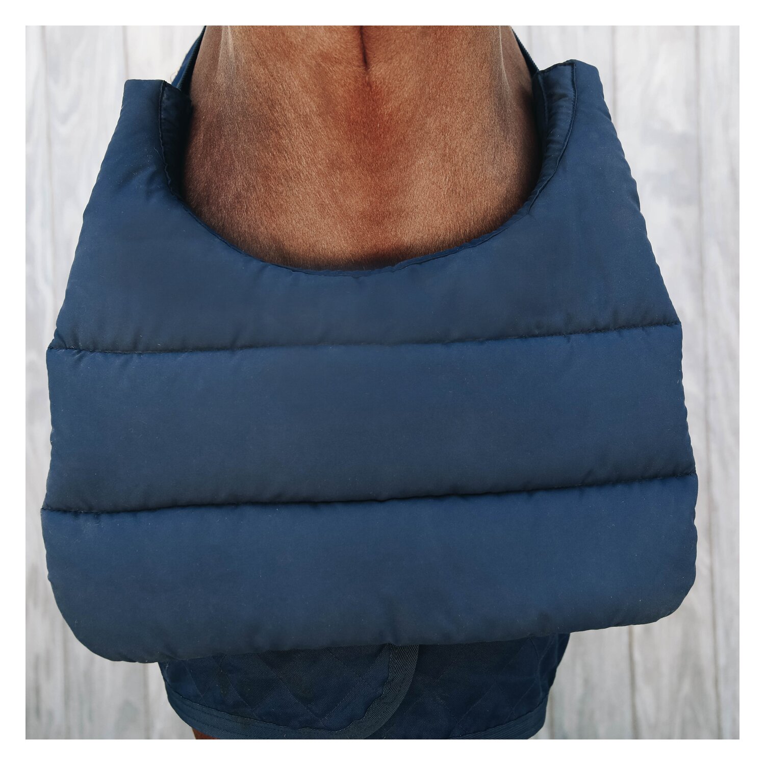 KENTUCKY Brustschutz Horse BIB – Ansicht 3