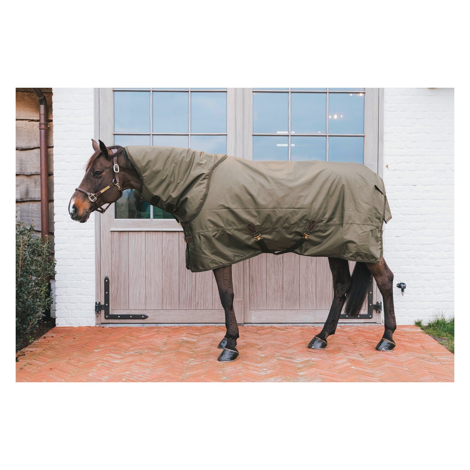 KENTUCKY Weidedecke All Weather Waterproof Pro 160 g – Ansicht 1