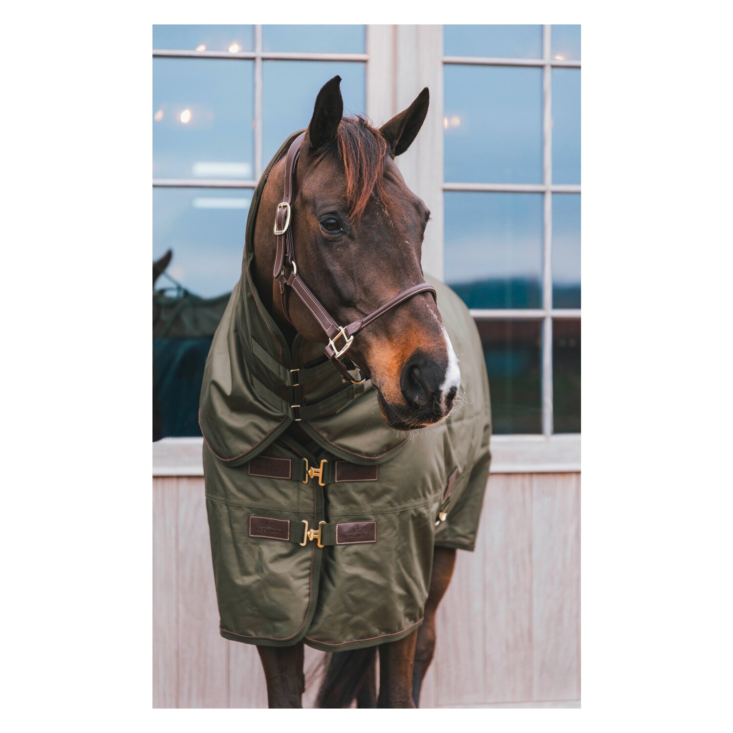 KENTUCKY Weidedecke All Weather Waterproof Pro 160 g – Ansicht 3