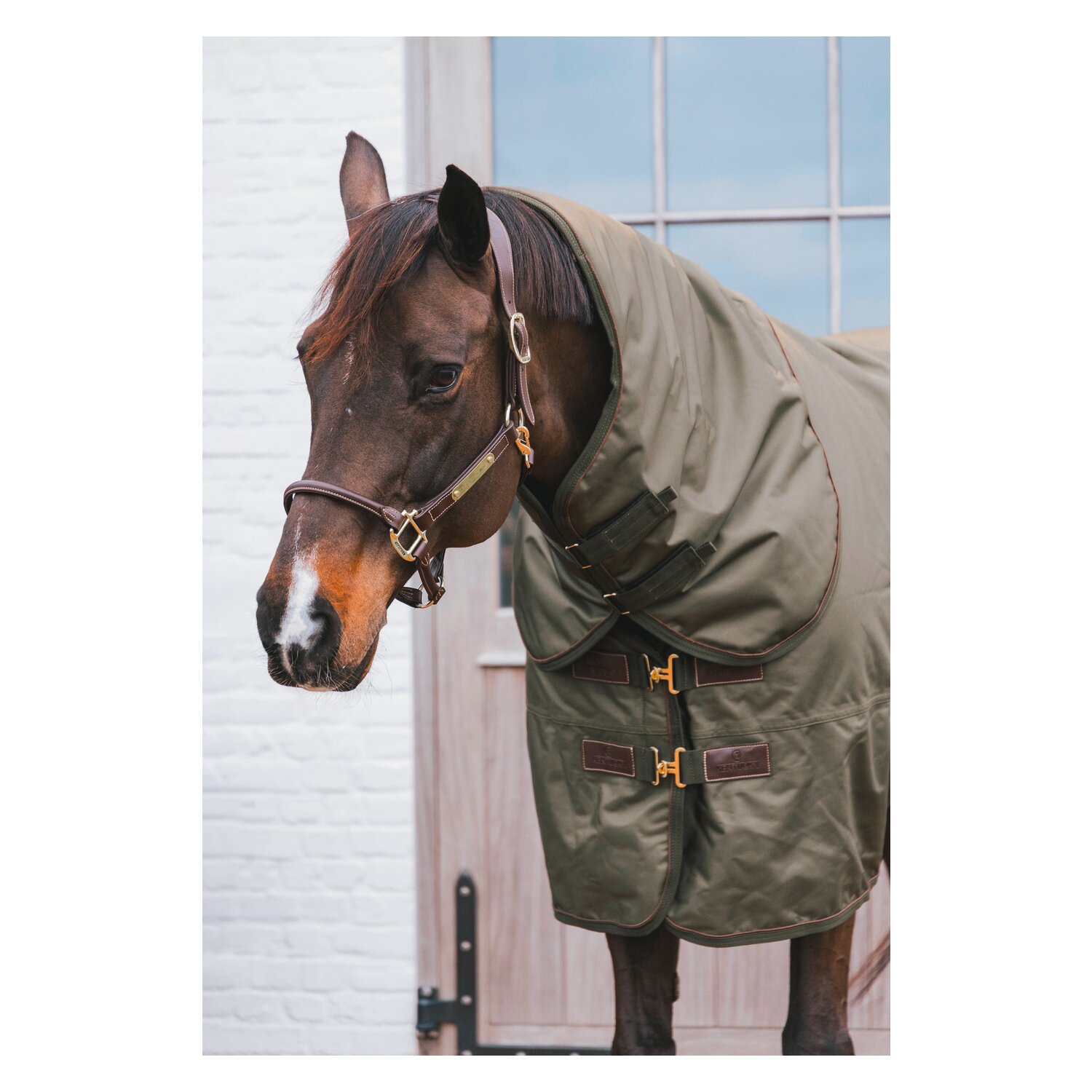 KENTUCKY Weidedecke All Weather Waterproof Pro 160 g – Ansicht 4