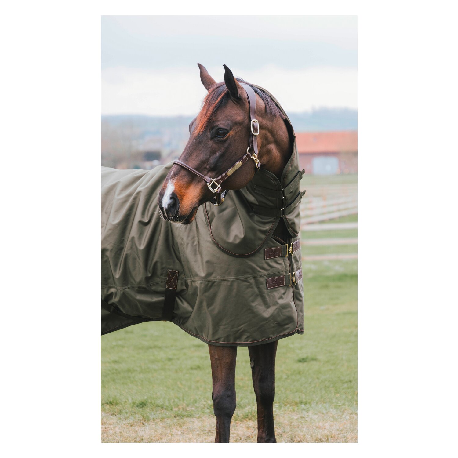 KENTUCKY Weidedecke All Weather Waterproof Pro 160 g – Ansicht 2